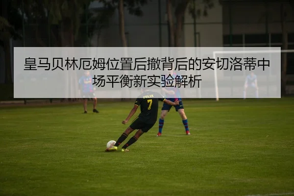 huang-ma-bei-lin-e-mu-wei-zhi-hou-che-bei-hou-de-an-qie-luo-di-zhong-chang-ping-heng-xin-shi-yan-jie-xi-2-538.jpg