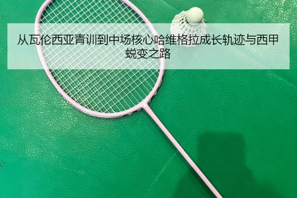 从瓦伦西亚青训到中场核心哈维格拉成长轨迹与西甲蜕变之路